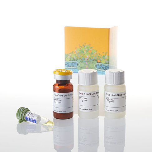 Dual-Glo Luciferase Assay System 10 mL