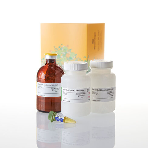 Dual-Glo Luciferase Assay System 100 mL
