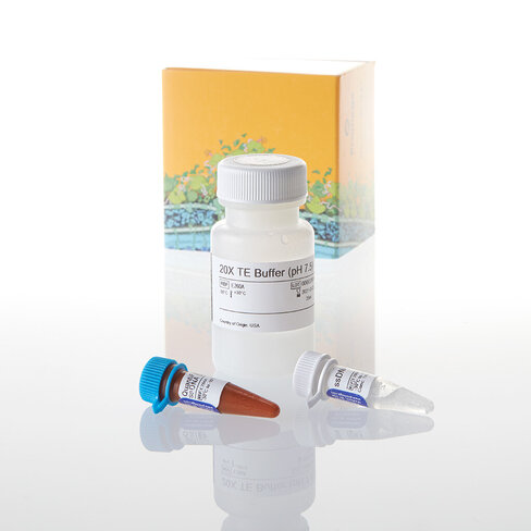 QuantiFluor ssDNA System 1 ml