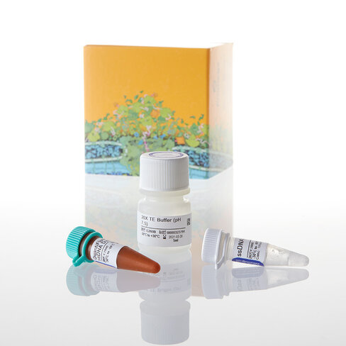 QuantiFluor ssDNA Sample Kit 200 réactions