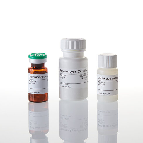 Luciferase Assay System with Reporter Ly 100tests 100 tests