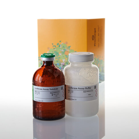 Luciferase 1000 Assay System 1000tests 1000 tests