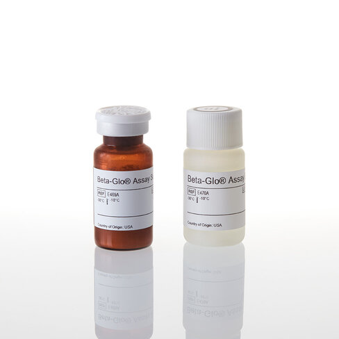 Beta-Glo Assay System 10 mL