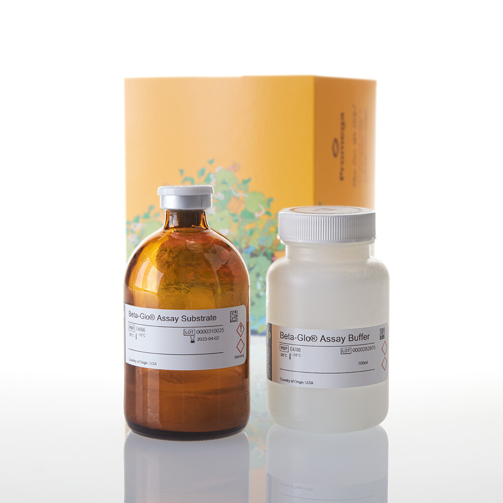 Beta-Glo Assay System 100 mL