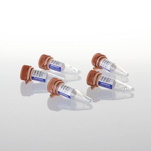 Transfection Carrier DNA 100 µg