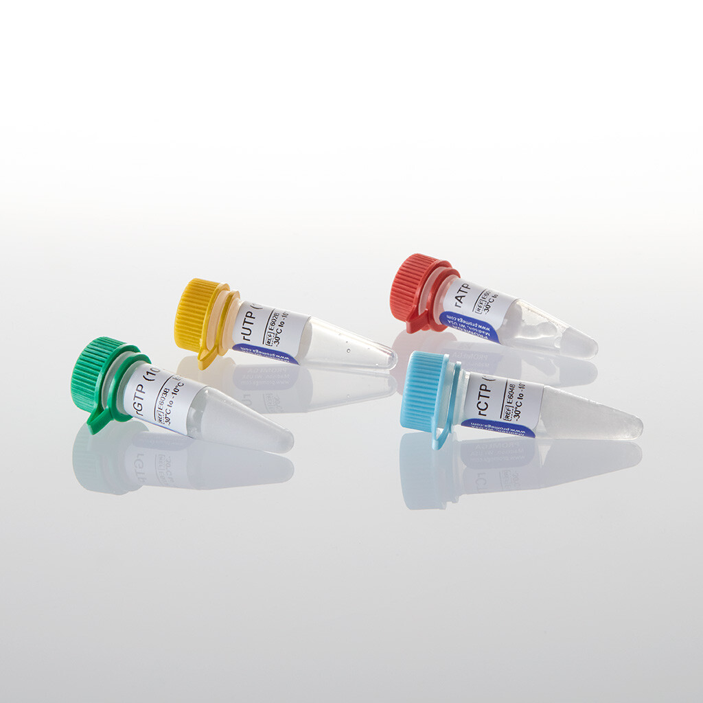 RCTP rGTP rUTP rATP (100mM ea) 4x4 4×400 1600 µl