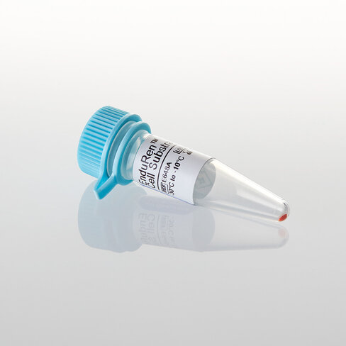 EnduRen Live Cell Substrate, 0.34 mg