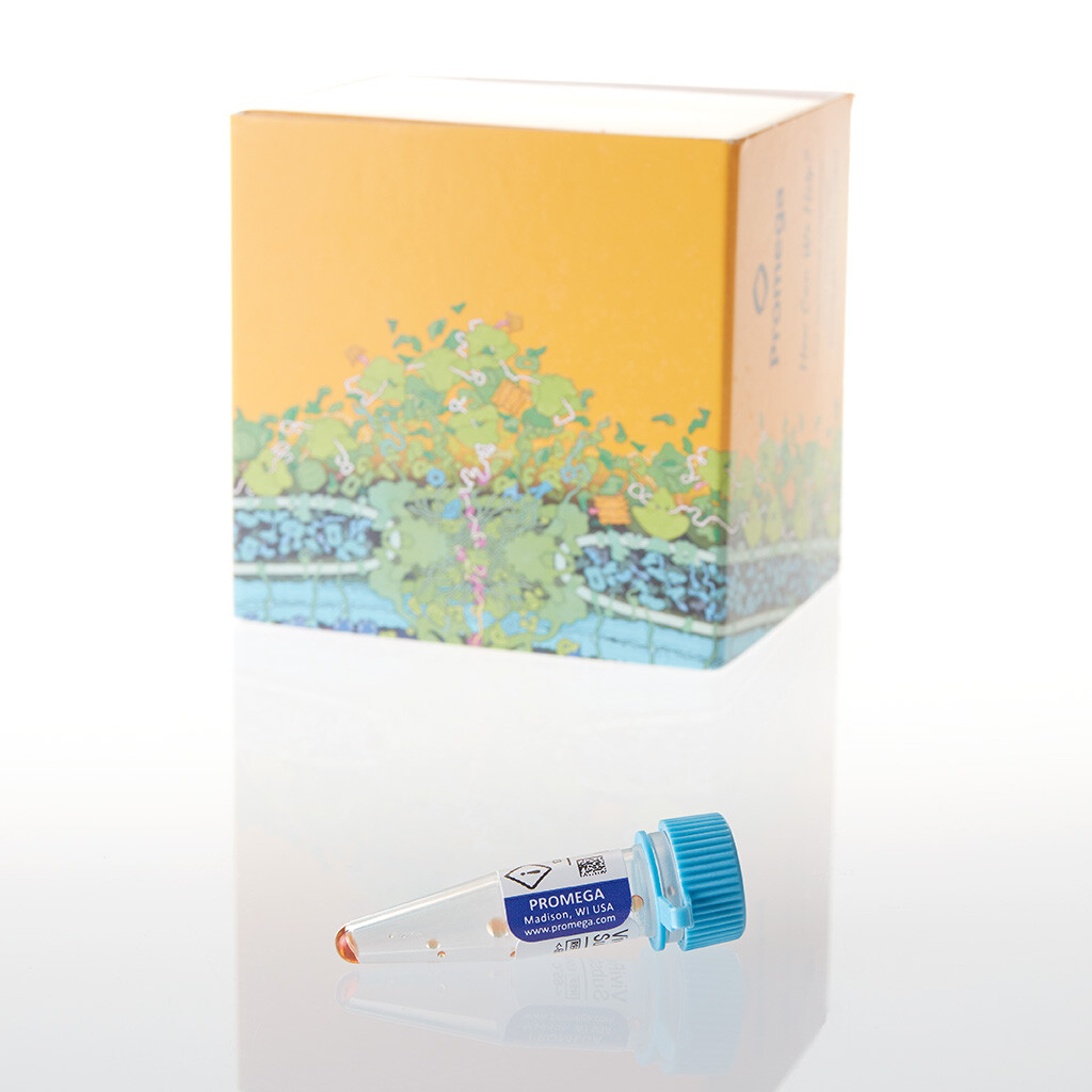 ViviRen Live Cell Substrate 0.37mg 0,37mg 0,37 mg