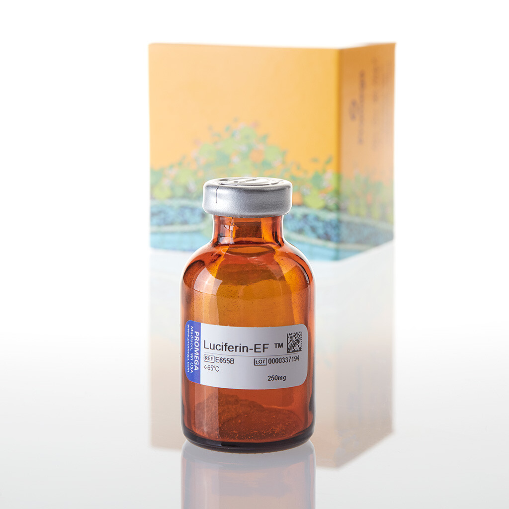 Luciferin-EF 250mg 250mg 250 mg