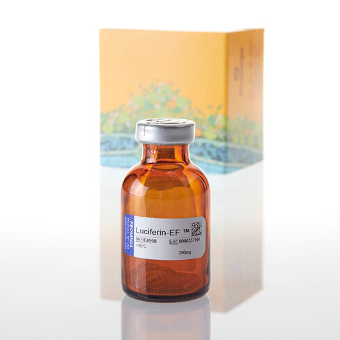 Luciferin-EF 250mg 250mg 250 mg