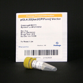 PGL4.22(luc2CP/Puro)Vector 20 µg
