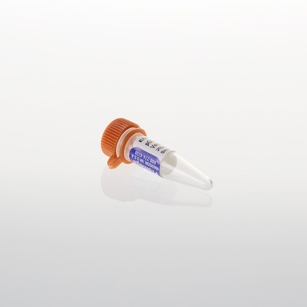 PGL4.73[hRluc/SV40] Vector 20 µg