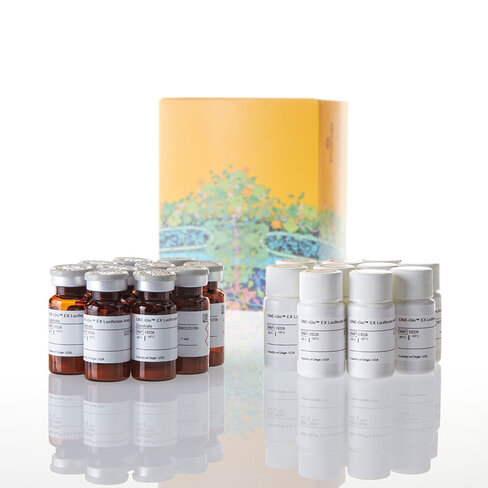 ONE-Glo EX Luciferase Assay System 10x10 ml