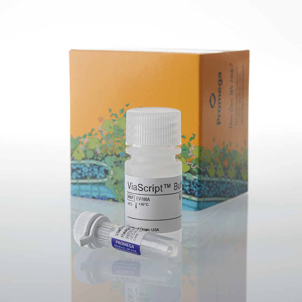 ViaScript mRNA Transfection Reagent