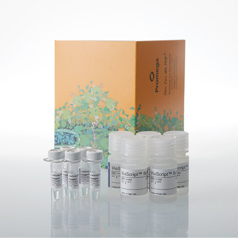 ViaScript mRNA Transfection Reagent