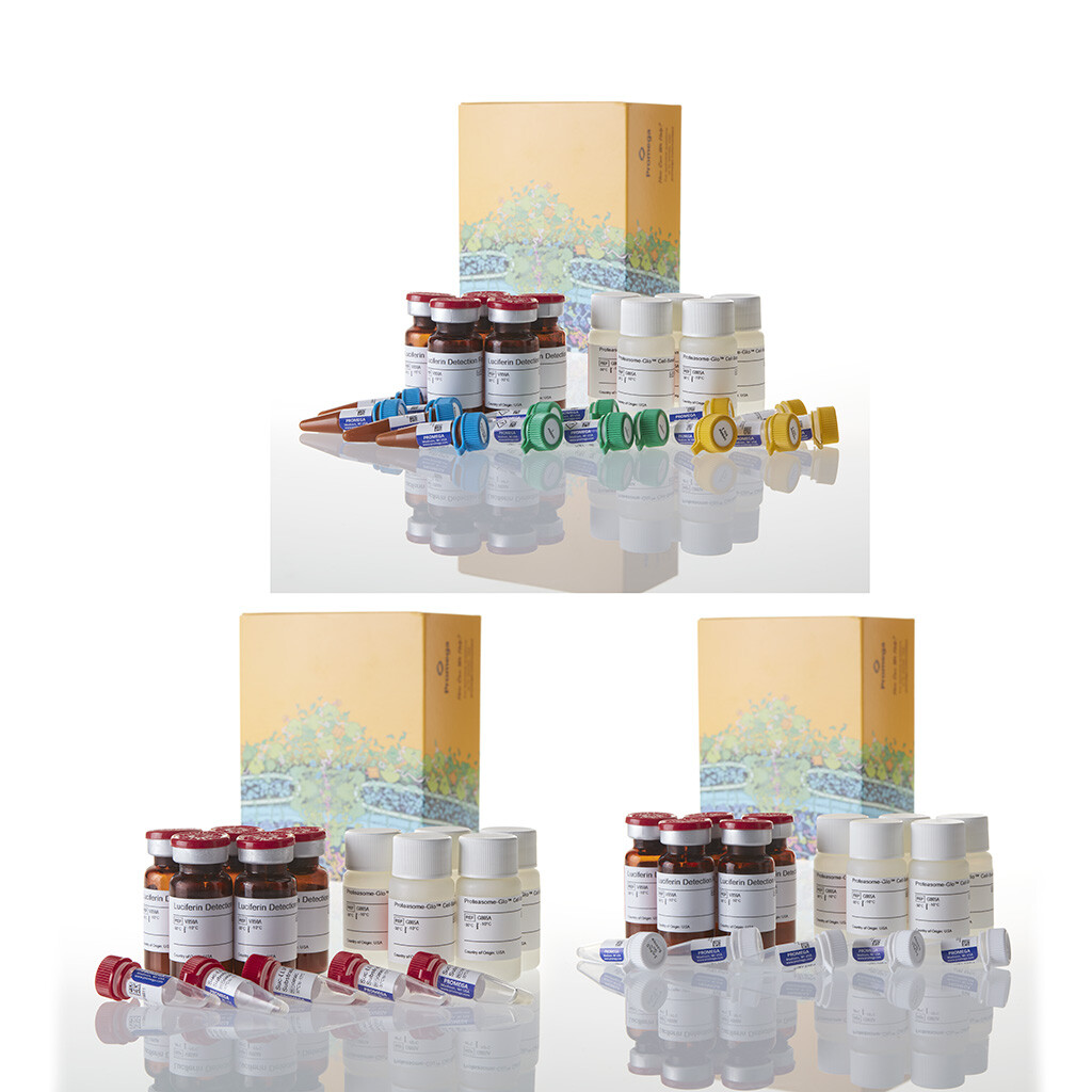 Proteasome-Glo 3-Substrate Cell-Based Assay System 50 ml