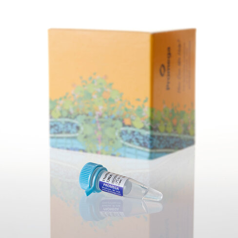 Human Genomic DNA: Male 100 µg