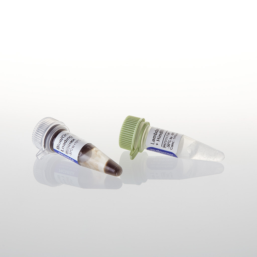 Lambda DNA / EcoR I + Hind III Markers 100 µg