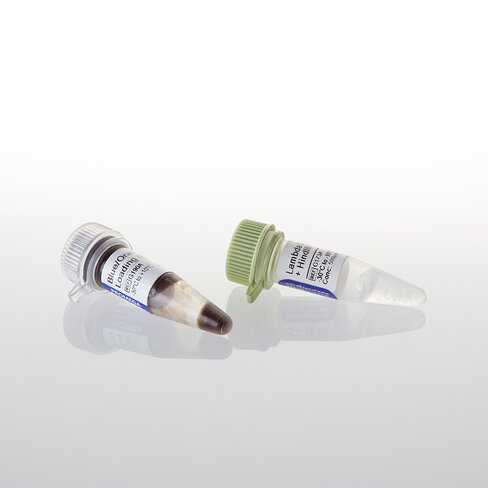 Lambda DNA / EcoR I + Hind III Markers 100 µg