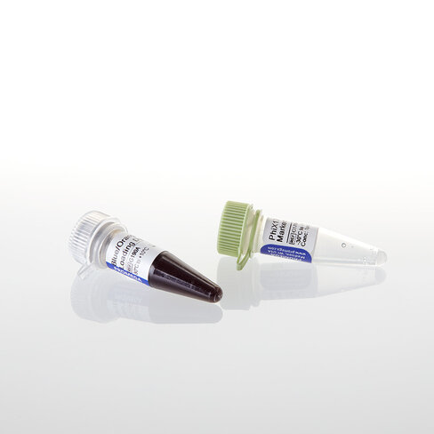 PhiX174 DNA / Hae III Markers 50 µg