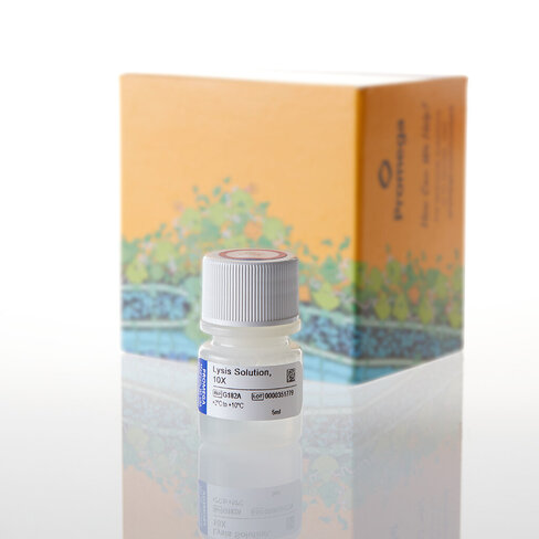 Lysis Solution 5 mL