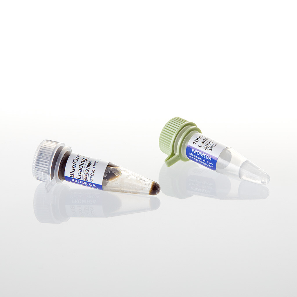 100bp DNA Ladder 250ul (50 lanes) 250 µl