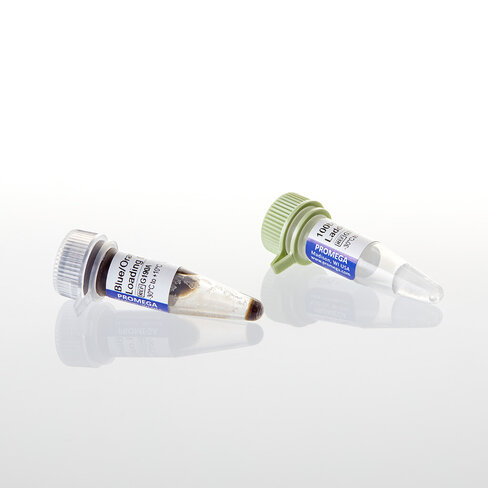 100bp DNA Ladder 250ul (50 lanes) 250 µl