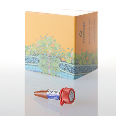 HaloTag Oregon Green Ligand 30 µl