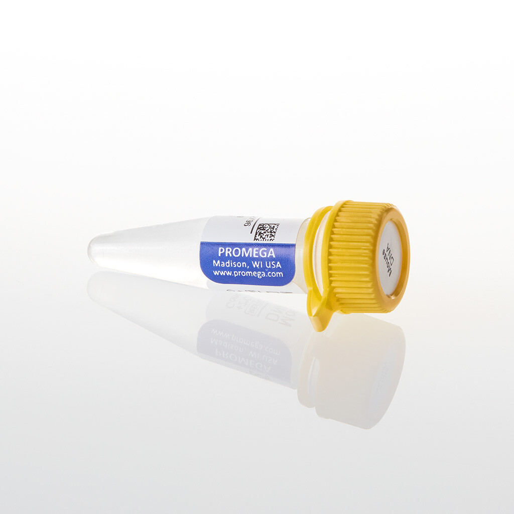 Mouse Genomic DNA 100 µg