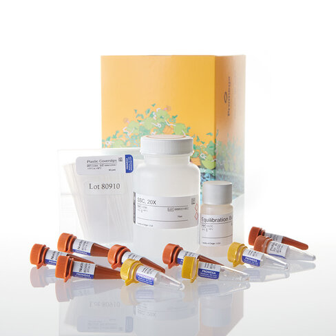 DeadEnd Fluorometric TUNEL Sys 60 reactions