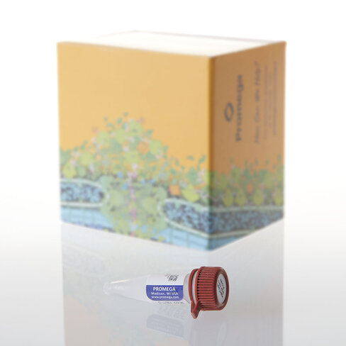 HaloTag Standard Protein 30 µg