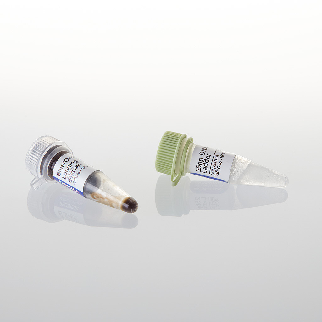 25bp DNA Step Ladder 55 lanes 100 µg