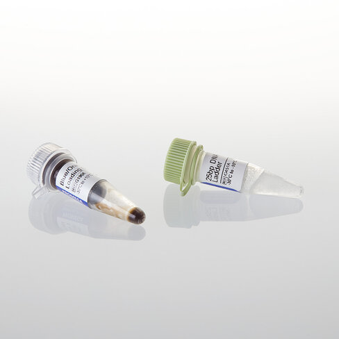 25bp DNA Step Ladder 55 lanes 100 µg