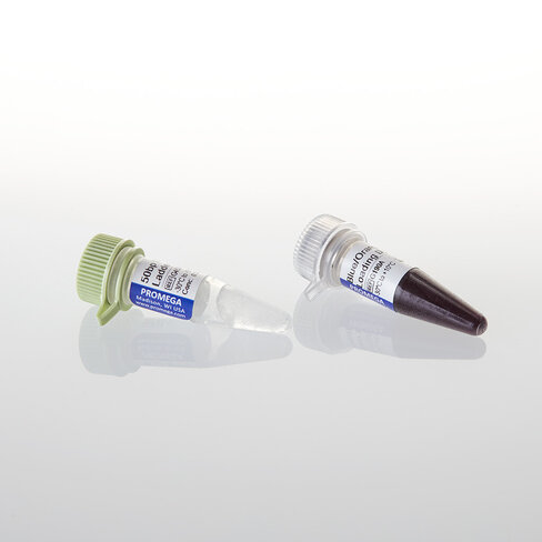 50bp DNA Step Ladder 340ug/ml 90 µg