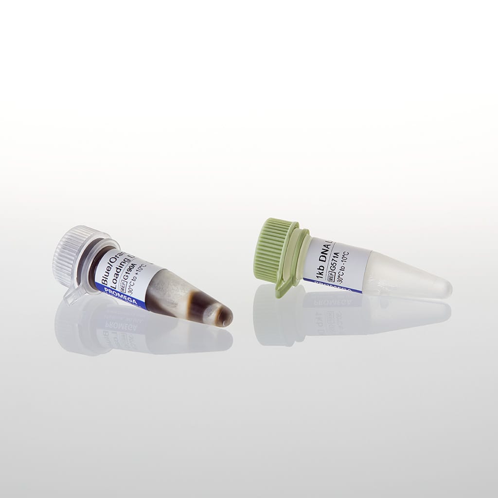 DNA Ladder 1kb 500ul (100 lanes) 500 µl