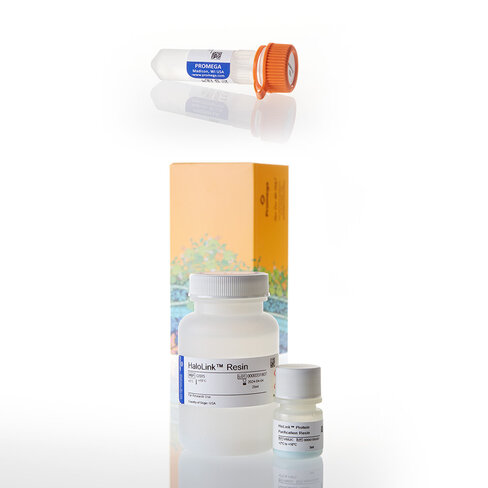 HaloTag Protein Purification System 1EAch 1 reactions
