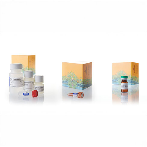 HaloTag Complete Pull-Down System 40 réactions