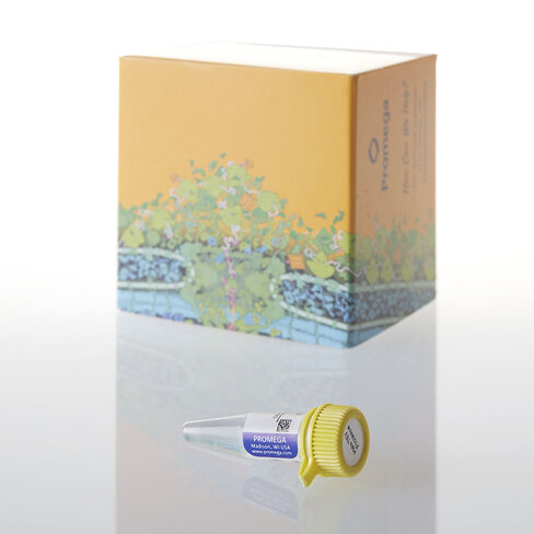 HaloTEV Protease, 5u/µl 4000 unités