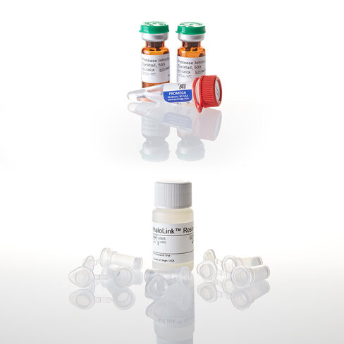 HaloTag Mammalian Protein Purification 1EAch 1 reactions