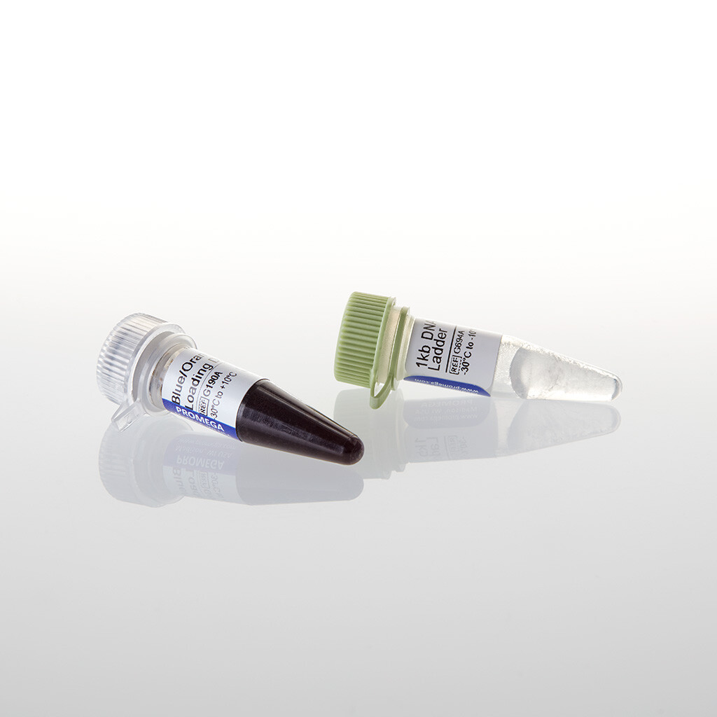 1kb DNA Step Ladder 300 lanes 90 µg