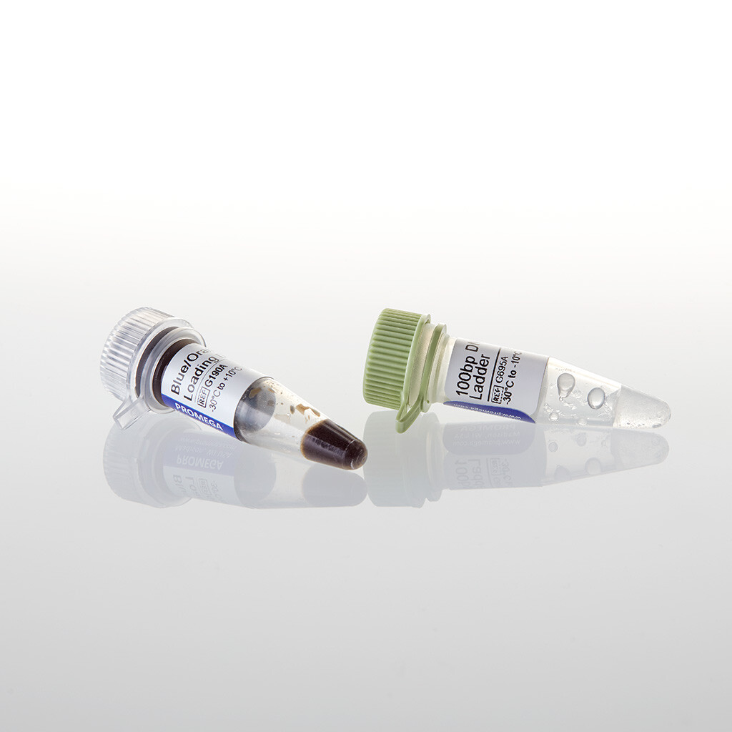 100bp DNA Step Ladder 100 lanes 100 µg