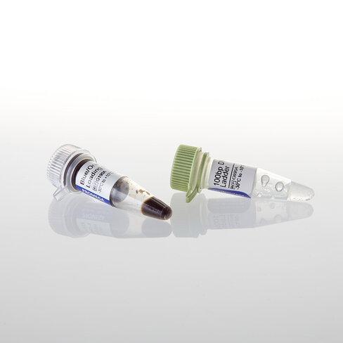 100bp DNA Step Ladder 100 lanes 100 µg