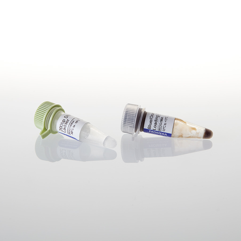 200bp DNA Step Ladder 100 lanes 100 µg