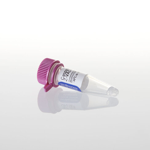 Caspase Inhibitor Z-VAD-FMK 20mM 50 µl