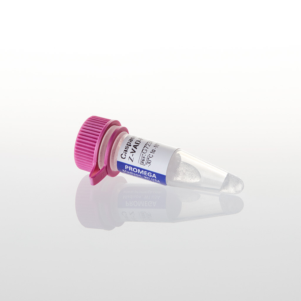Caspase Inhibitor Z-VAD-FMK 20mM 125 µl