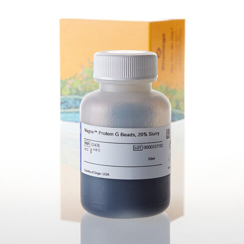 Magne Protein G Beads 50 ml