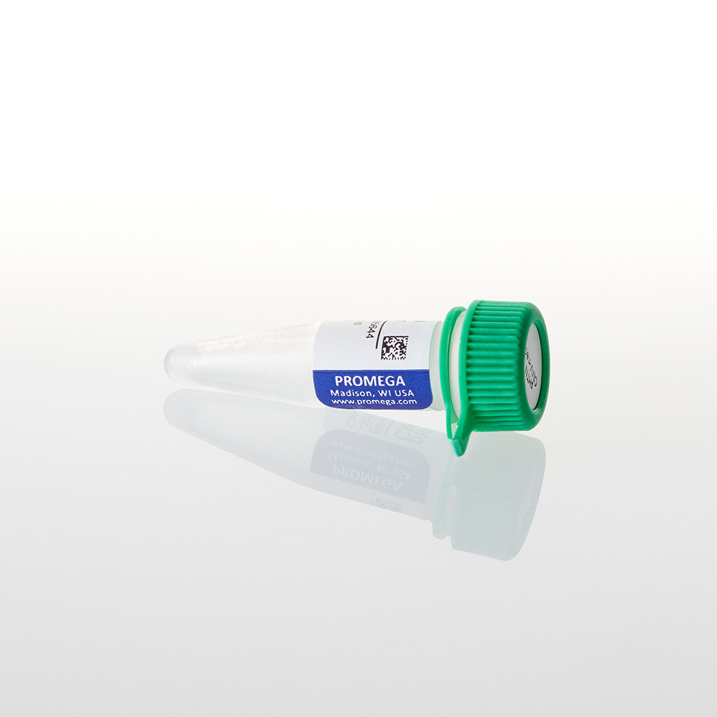 PHTN HaloTag CMV-neo Vector 20 µg