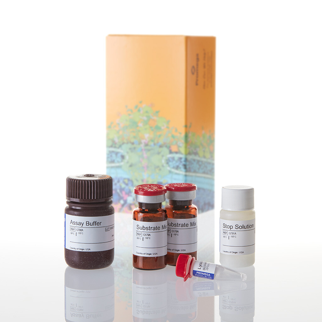 CytoTox-ONE Homogen Membrn Integrity 200 800 200 tests