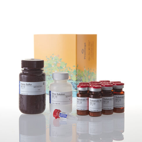 CytoTox-ONE Homogen Membrn Integrity 1000 4000 1000 tests