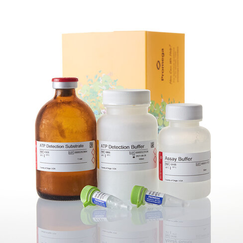 Mitochondrial ToxGlo Assay 100 mL